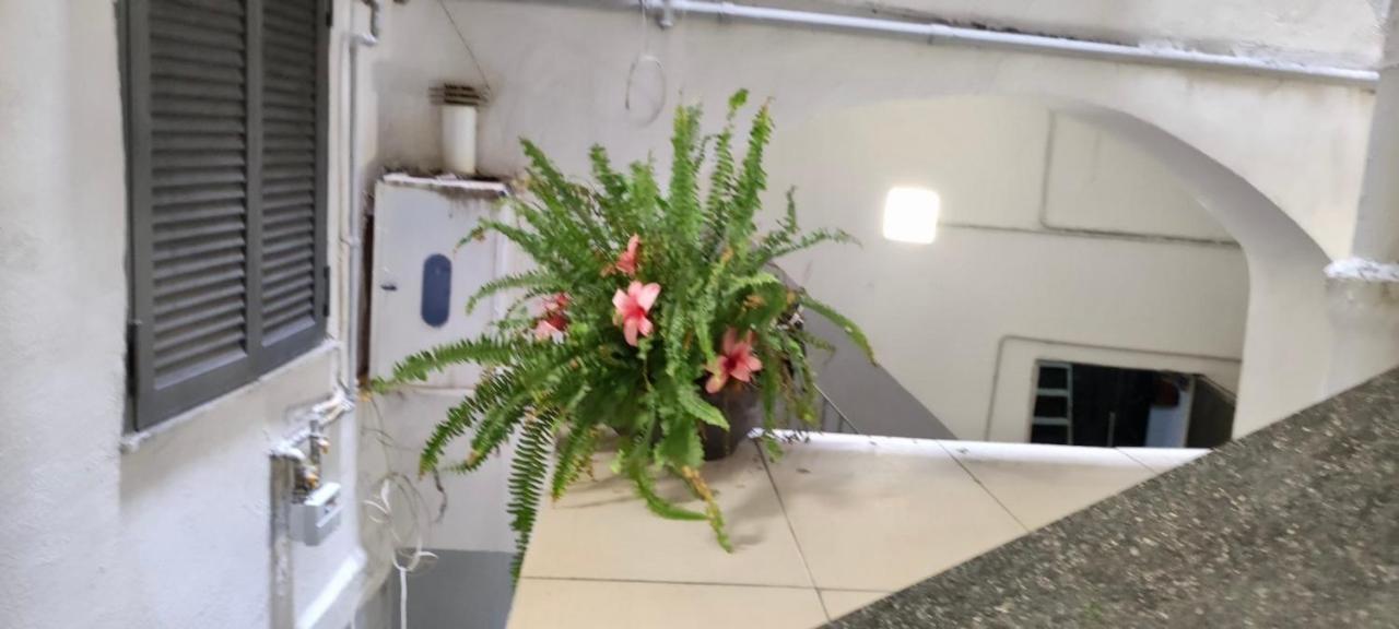 Apartmán Centro Storico S Chiara House Neapol Exteriér fotografie